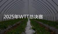 2025年WTT总决赛落户中国香港，总奖金池再增加