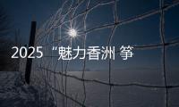 2025“魅力香洲 筝的爱你”风筝会在海天公园沙滩举办，大湾区7支风筝队展风采