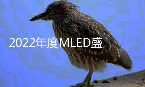 共同推动Mini/Micro LED发展