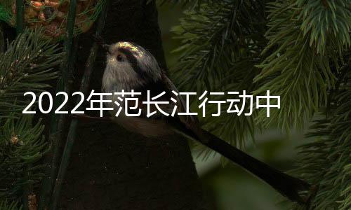 长江这样一个小小芯片