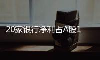 20家银行净利占A股1/3强，“利润王”对抗息差压力分化加剧