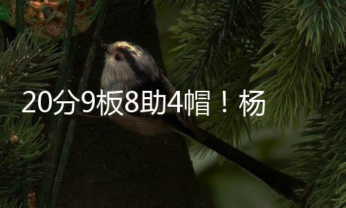 森太与球队完美契合