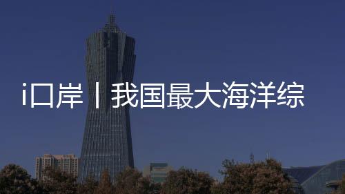 人证对照等通关检查工作